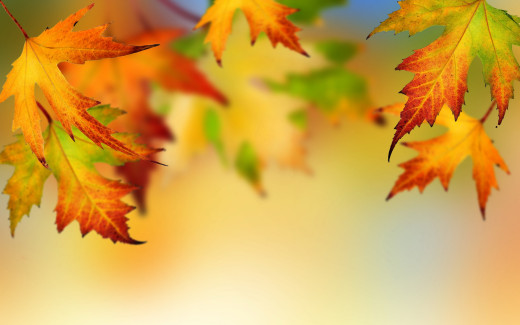 985954 (a): :2880x1800